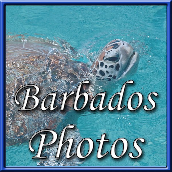 Barbados Photos box sml.jpg
