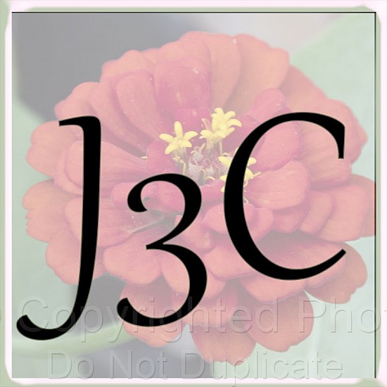 J3C