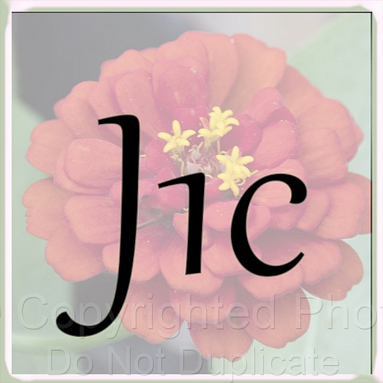 J1C