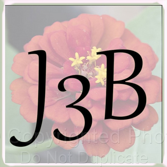 J3B