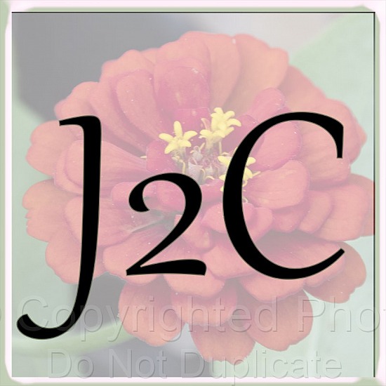 J2C