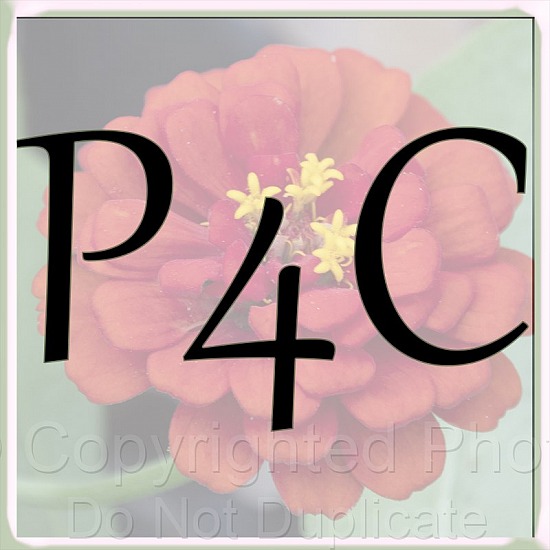 P4C