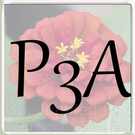 P3A