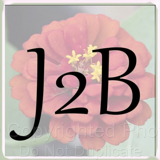 J2B