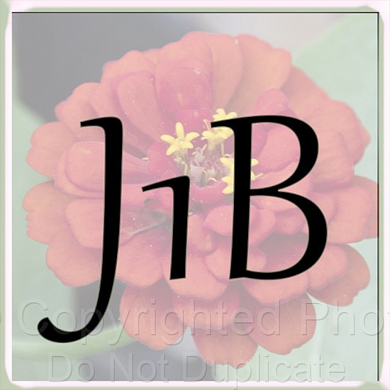 J1B