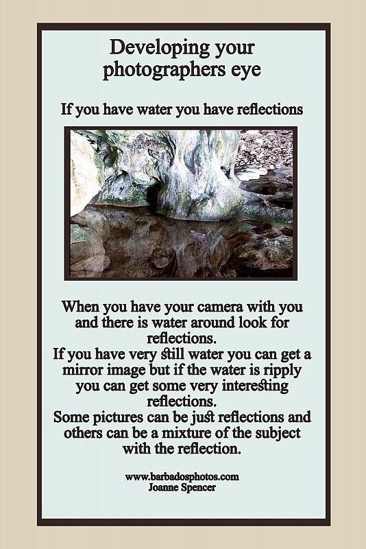 reflections.jpg